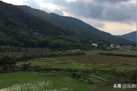 到广州增城绘画，感慨一线城市像极了我们老家的小县城