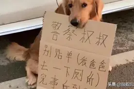 狗狗：警察叔叔别贴单 我爸爸去一下厕所 马上回来图片