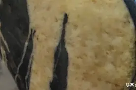 石头像什么？图片