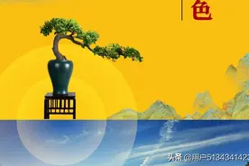 ┏┈翘楚人物临湖而居┈┓
 碧桂园·翘楚棠15200667955李亚军图片