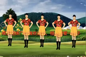 广场舞《相亲相爱一辈子》安安稳稳过日子原创附教学