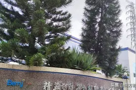 深圳沙井精英厂，女员工很多，工资福利还挺不错的图片