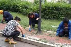 花钱最少，一招解决小院步道板砖缝里长草的问题！图片
