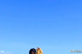 大海。沙滩。美女图片