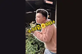 权志龙的小雏菊很火！哈哈我在路边采了朵小雏菊做胸针视频封面