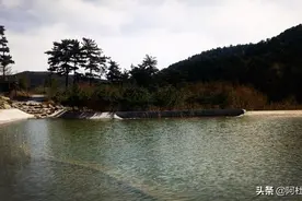 春天的故事图片