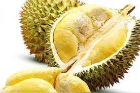 榴莲不可以同8种食物同吃