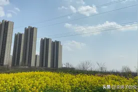 你好4月看见“城长”高铁大城 碧桂园罗马世纪城美好与您相见图片