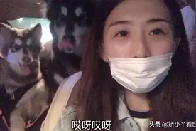 自驾西北航线回到哈尔滨 时隔半个月终于看见我家狗了 它们怎么样视频封面