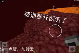我被逼着开创造了丨生存25丨我的世界