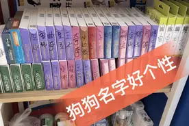比熊美容后大变样小南直呼钱花的值，看到其他狗狗的名字，笑喷了