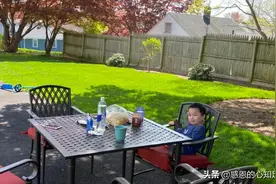春暖花开，出来玩 图片