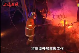“国家级”灾难！澳大利亚连发森林大火，超350只考拉葬身火海、视频封面