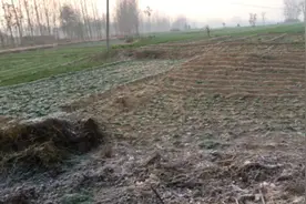 河南农村实拍：早上起来下满了霜雪，今年冬天还是那么冷。