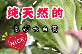 把地里最好看的大白菜砍了，哎呀妈呀真香～，你们吃菜也挑颜值？