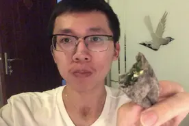 黑芝麻糊做饺子皮，一起探索“黑暗料理”一看就会的黑皮饺子