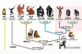 地球上会不会进化出人类的天敌，以人类为食？几百万年前曾有过！图片