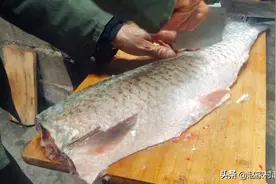 要想鱼入味又耐放，这一步很关键！我们这都是这样做，太美味了