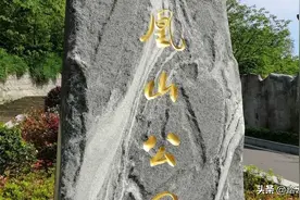 株洲凤凰山，环境优美，是登山锻炼的好去处图片