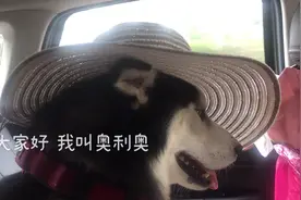 希望大家都喜欢我哦 我叫奥利奥～