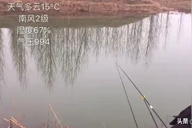 春季钓鱼钓潜不钓深，钓阳不钓阴。