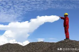 驯龙高手真人版图片