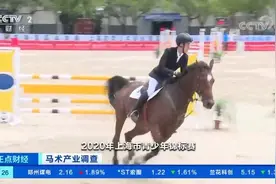 【“贵族运动”进校园，#上海一节马术课最低350元#】近日