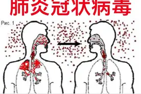 漂白水（氯制剂）可避免家中的交叉感染视频封面