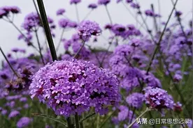 没事的时候还是要出去走走，看一看风景图片