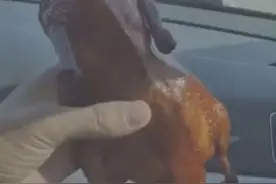 吃太多拉肚子没忍住……😂😂视频封面