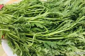 春天多吃茼蒿，学会这种做法不仅味道鲜美，开胃消食还减脂，真香视频封面