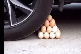 过期鸡蛋还可以这么玩？视频封面