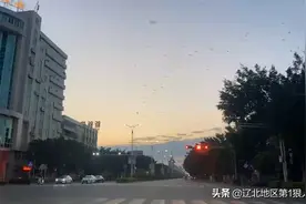 广东这边出现鸟群乱飞，不知道怎么回事，希望一切平安，中国加油视频封面