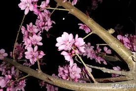 黑夜的故事图片
