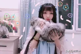 优熙养了3只猫咪，母猫难产去世，被黑心医院坑了7000多块视频封面