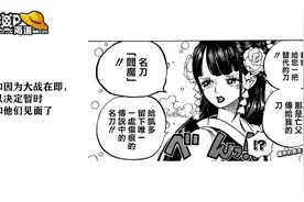 【TalkOP】海贼王955话《阎魔》情报解读视频视频封面