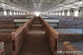 建造，最经济实用的保温猪舍养殖棚图片