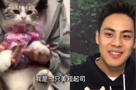 【#小店招猫工300只猫应聘#不加班可摸鱼[awsl]】近日视频封面