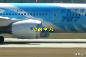 澳洲华人，包机把物资运回国内视频封面