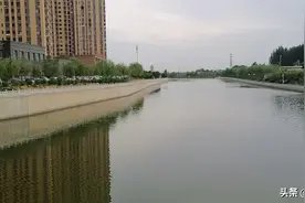 每天都有新惊喜，茄子馅包子也不错。图片
