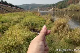 慢慢人生路图片