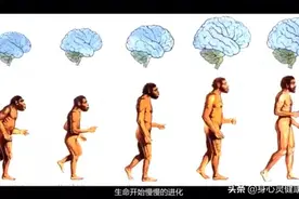 生活中人体蛊虫-弓形虫，中医称-三尸虫，如何影响我们智力、情绪