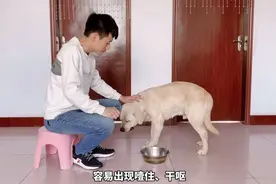 只需1招，教你快速纠正狗吃饭太快！视频封面