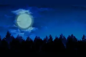 亲子时光必看推荐布巴骑士卡通片