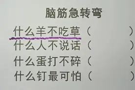 猜一猜，脑筋急转弯，什么羊不吃草，什么人不说话，什么蛋打不碎