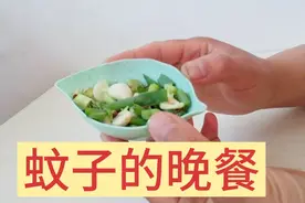 给蚊子做一顿晚餐，放在床上，蚊子无踪无影