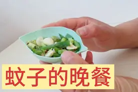 给蚊子做一顿晚餐，放在床上，蚊子无踪无影