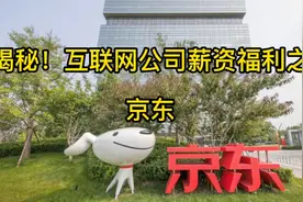 揭秘！互联网公司薪资福利之京东视频封面