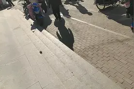 干起来了视频封面