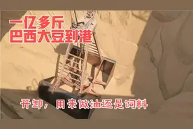 我船运了一亿多斤巴西大豆，到港卸货，好几天才卸完，如何卸